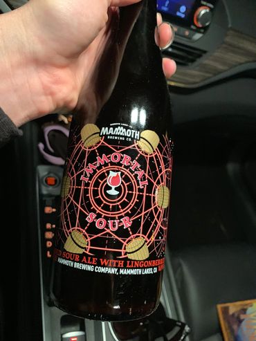 500 milliliter beer bottle: Immortal Sour. Label featured six barrels arranged on a geometric shape.