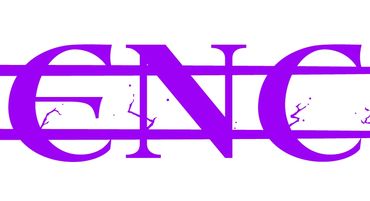 Detail shot of simple version of logo showing lightning details in purple on a white background.