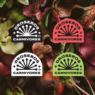 Different colored versions of the logo.