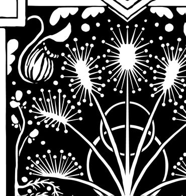 Detail of black and white card back, depicting sundews, pitcher plants, and bladderwort.