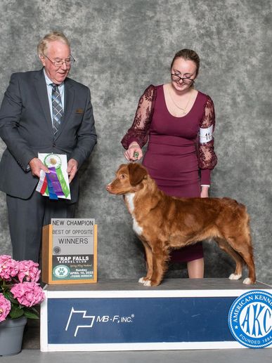 CONGRATULATIONS to Wendy and Merida!  They have worked so hard, and now have everything to show for