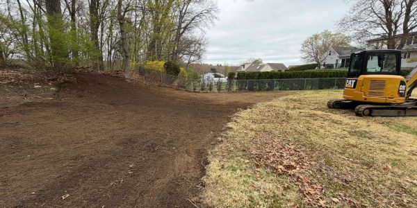 Excavator working on a yard clearing and leveling soil.