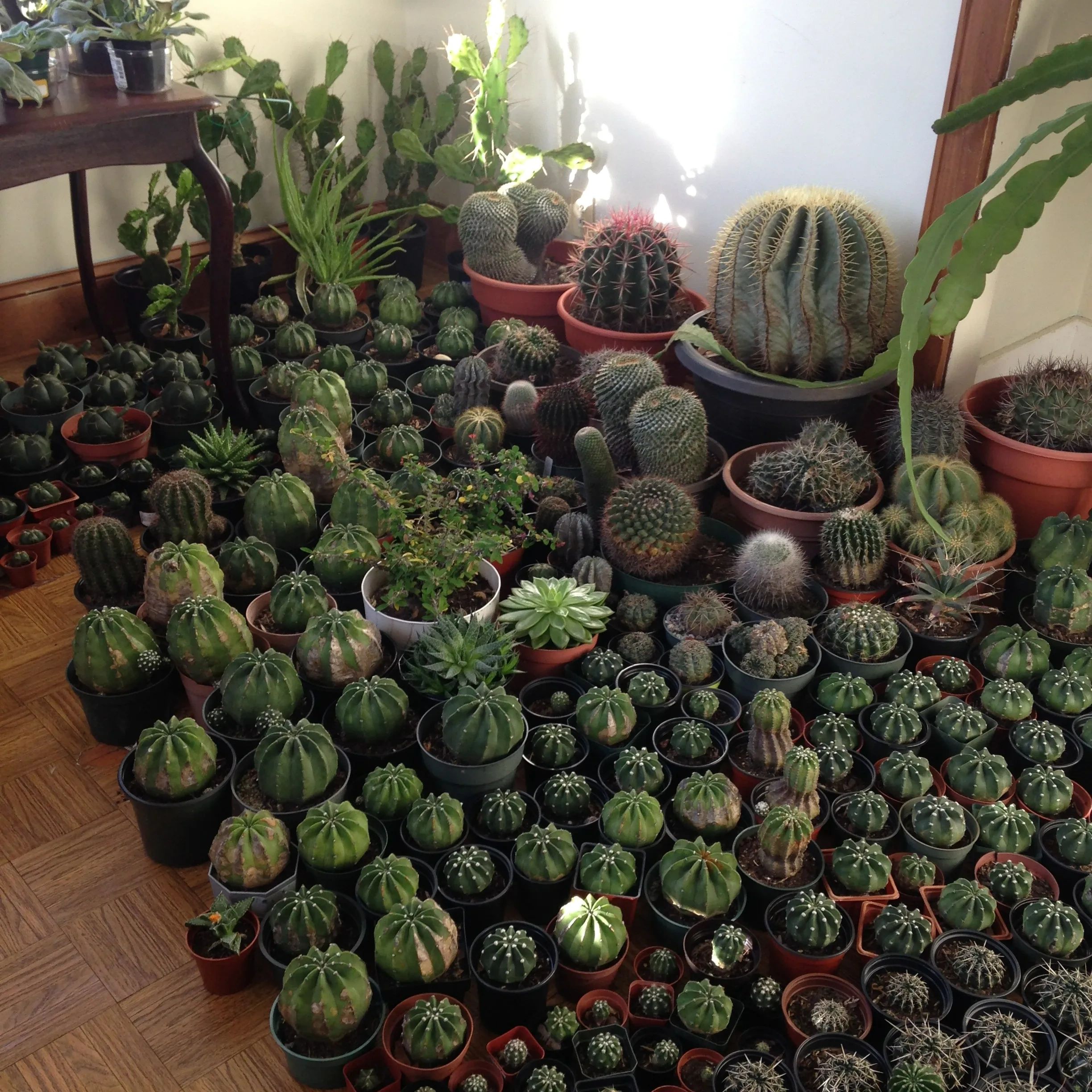 Winter Storage