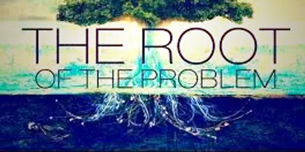 Tree rooting into the ground.