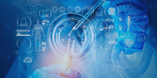 Laboratory Analysis