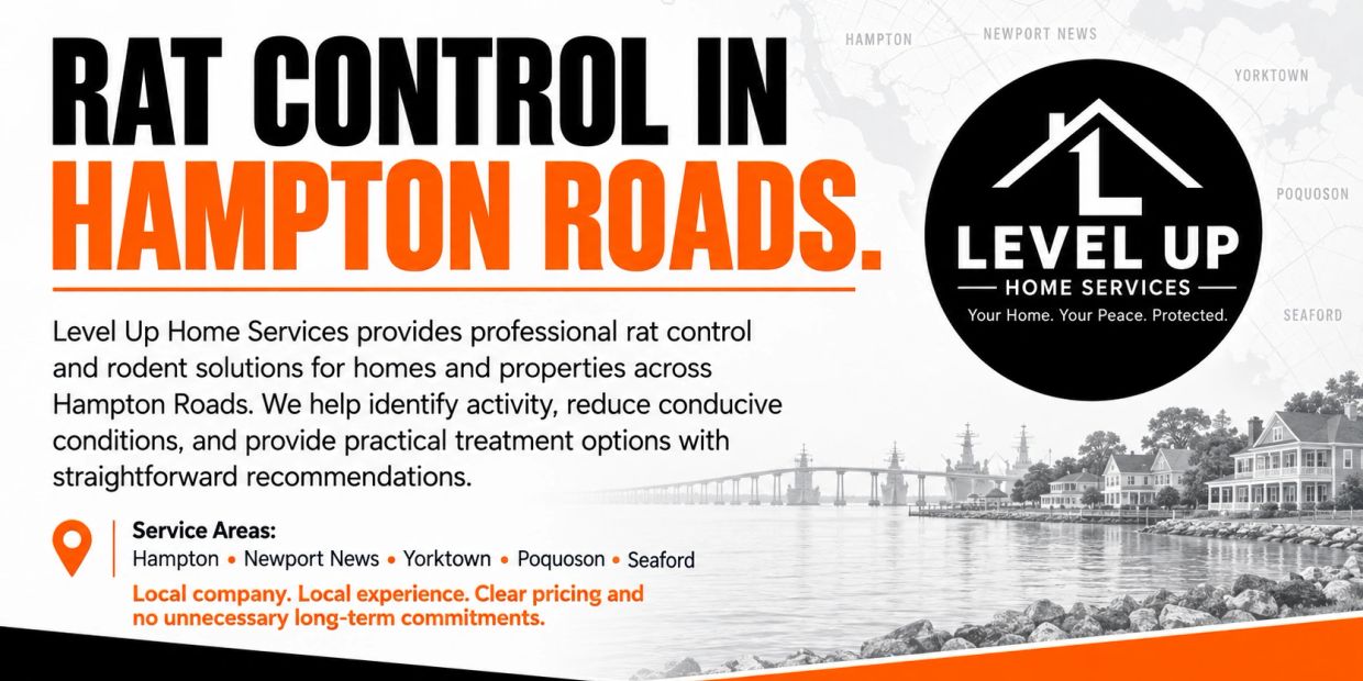 Rat control service ad for Hampton Roads by Level Up Home Services.