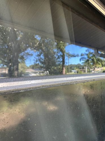 View through a window screen showing outdoor trees and a clear sky.