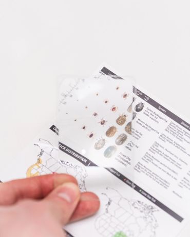 3 times magnifier card to help identify small ticks.