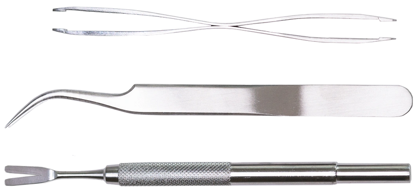 Three pieces durable Stainless Steele tick removal tools.
