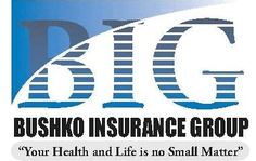 Bushko Insurance Group, Inc.