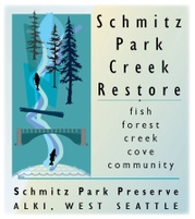 Schmitz Park Creek Restore
