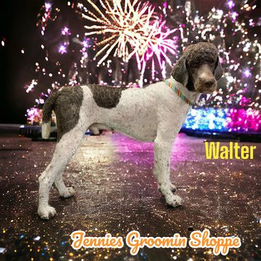 Walter New Years