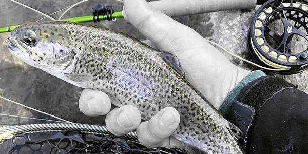 Fly Fishing Gear Accessories