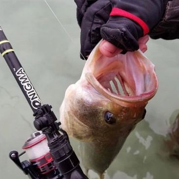 Fishing Rod Line Holder Accessory Tying Equipment Tackle for Freshwater Rods, Fits Light to Medium.