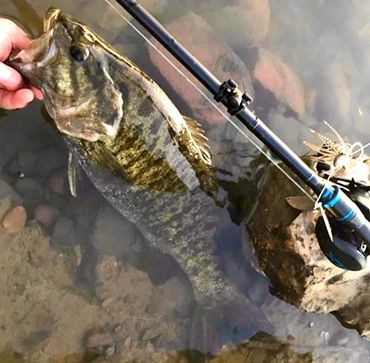 Fishing Gear Accessories - Hold My Line