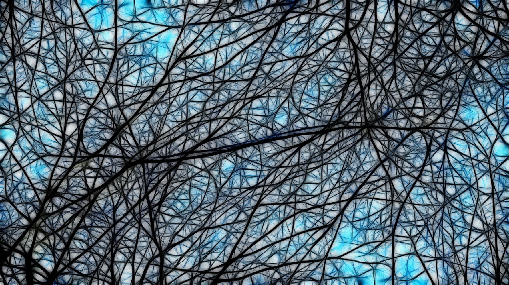 A network of branching stems, black on a light blue background.