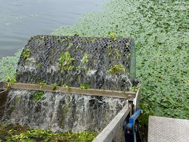 lily pad milfoil seaweed pondweed lake weed removal aquatic weed echo harvester water chestnut