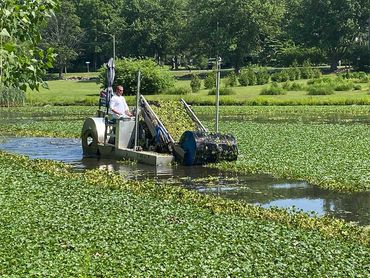 lily pad milfoil seaweed pondweed lake weed removal aquatic weed echo harvester water chestnut