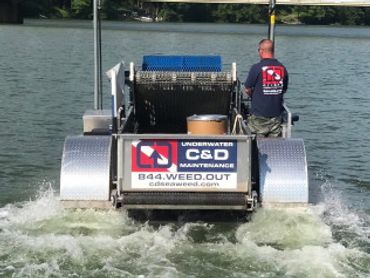 lily pad milfoil seaweed pondweed lake weed removal aquatic weed echo harvester water chestnut