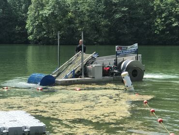 lily pad milfoil seaweed pondweed lake weed removal aquatic weed echo harvester water chestnut