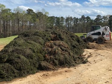 lily pad milfoil seaweed pondweed lake weed removal aquatic weed echo harvester water chestnut
