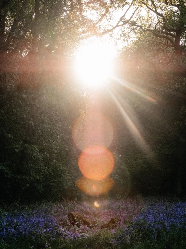 inner peace, intuition, inner knowing, know thyself