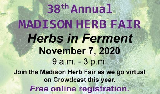 Herb Far Poster image (partial image)