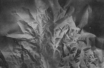 Gebüsch, 33,5 x 49cm, Acryl/Papier, 1979