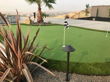 backyard putting green, landscaping and turf