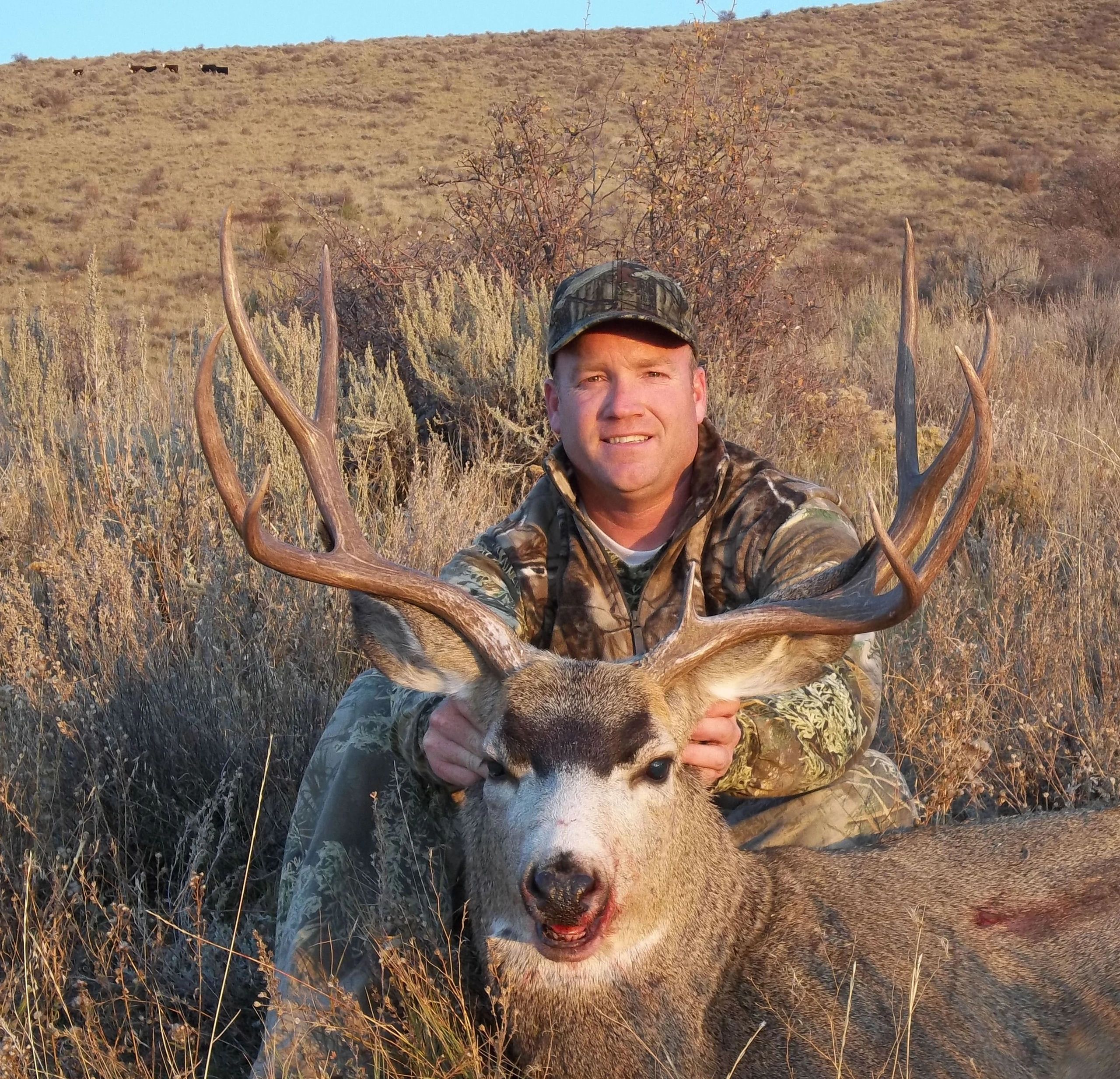 Hunt Information Utah Deer Hunts