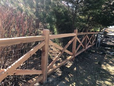 Wooden fence with wire mesh alongside bushes and trees under sunlight.
