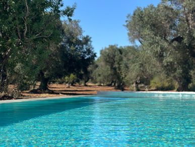 Private swimming pool surrounded by ancient olive groves.