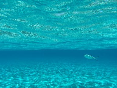 Crystal clear sea waters of Salento, Puglia
