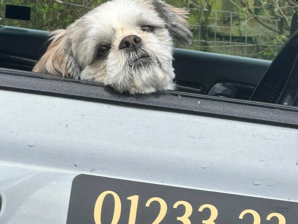 Our newest driver