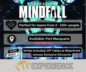 VIP spy mission with drinks for team building