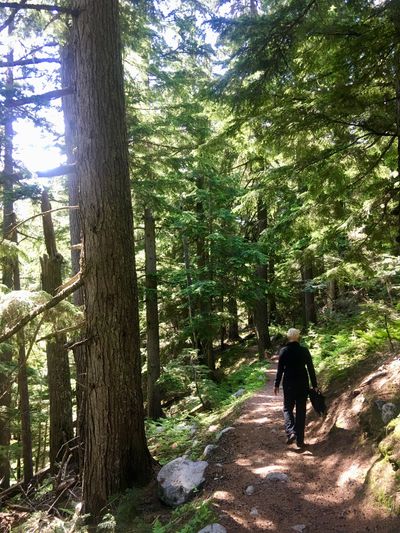 Denise Beard hiking in Jasper Alberta July 2024