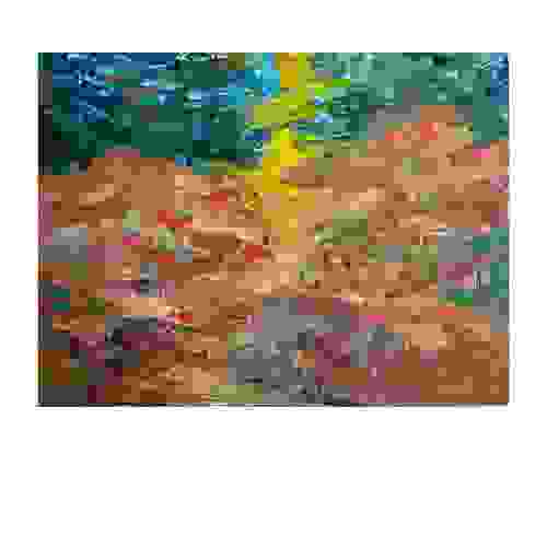 image5