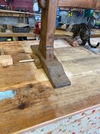 Toffee the Bengal checking out the carpentry