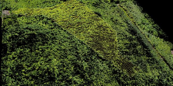 Plan de vol 3D d’une mission de chaulage par drone dans une érablière, illustrant une planification précise, sécuritaire et conforme aux normes aéronautiques.