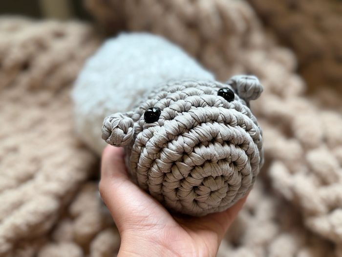 Cute little sheep ready for a new home!