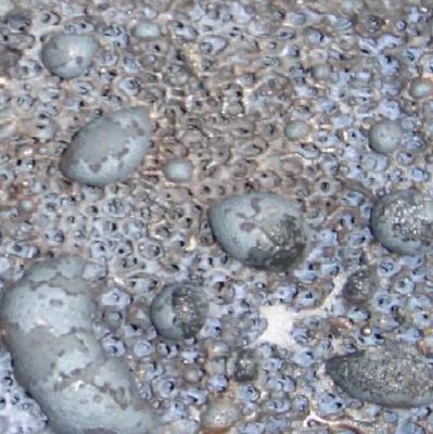 Silicon Carbide Sic Ceramic Foam Filter