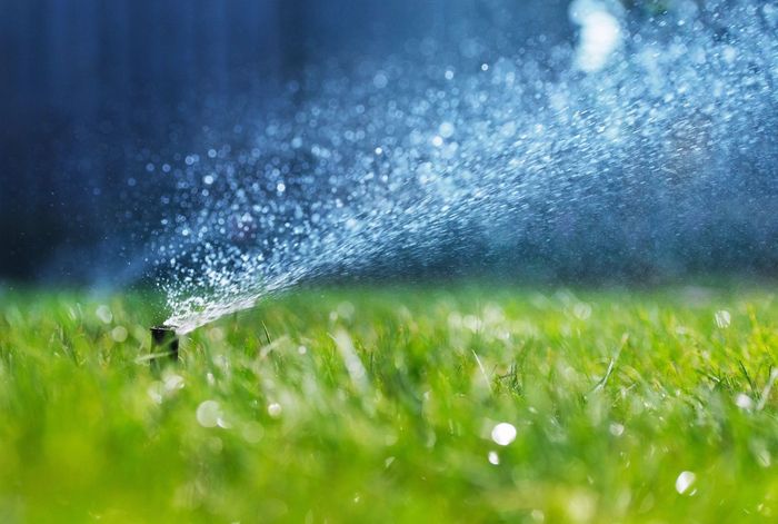 bayscapes sprinkler repair valrico brandon lithia riverview fishhawk apollo beach gibsonton seffner