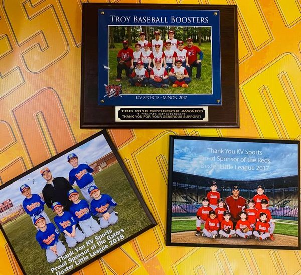 Example plaque awards