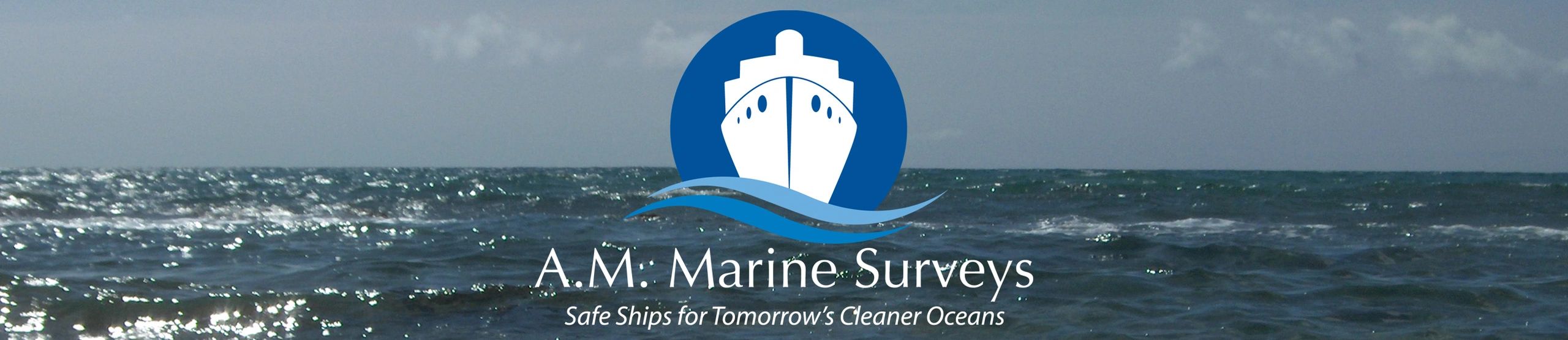 A.M. Marine Surveys