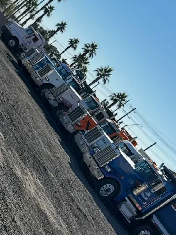 Line of parked semi trucks under palm trees.