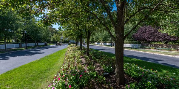 Fours Seasons at Metedeconk Lakes  Drive to the Clubhouse