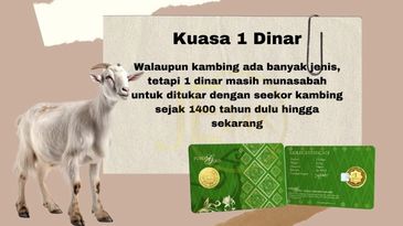 Illustration comparing 1 dinar to the value of one goat.