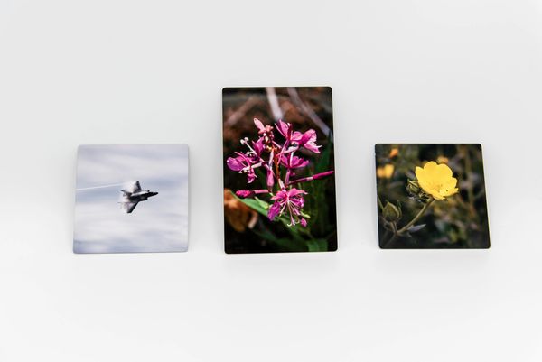 Three small prints glossy aluminum Fireweed flowers F-35 jet air force