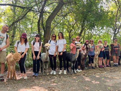 Gruppo di persone sorridenti con alpaca, Team Building