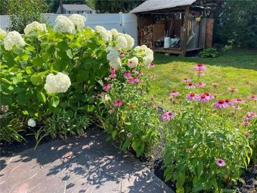 hydrangea and coneflowers